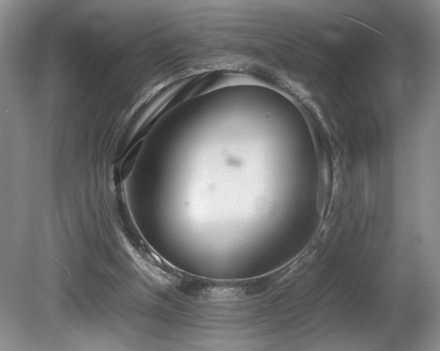 X0000081590154200701151318