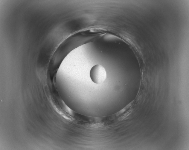 X0000081590156200701151318
