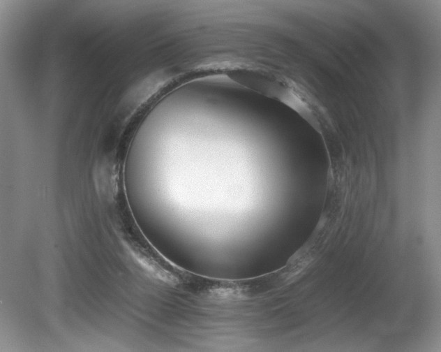 X0000081590160200701151318
