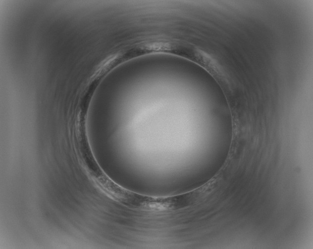 X0000081590163200701151318