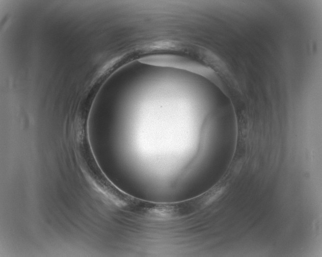 X0000081590164200701151318