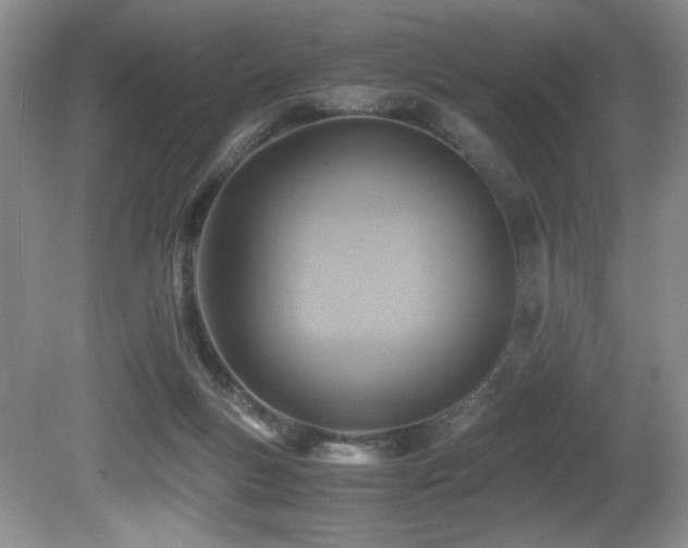 X0000081590167200701151318
