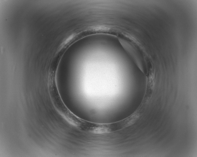 X0000081590168200701151318
