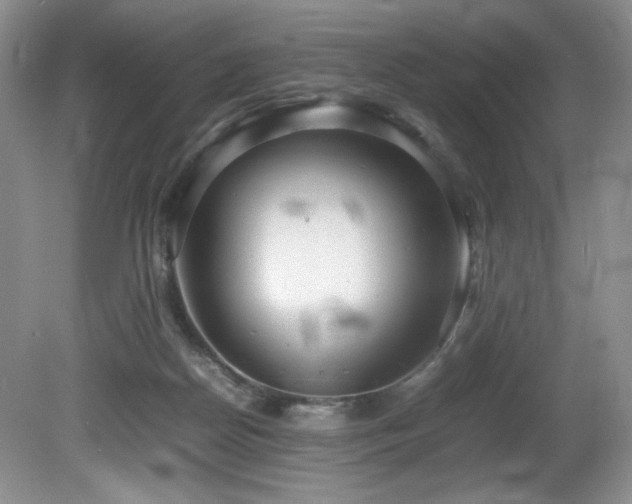 X0000081590170200701151318