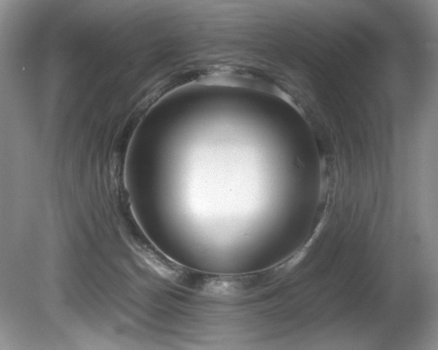 X0000081590174200701151318
