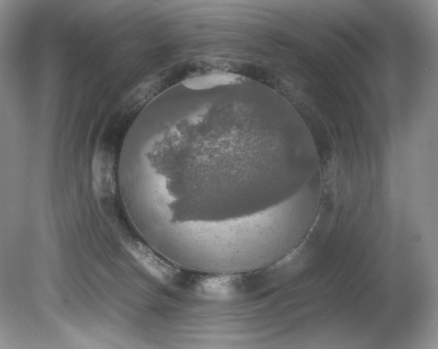 X0000081590178200701151319