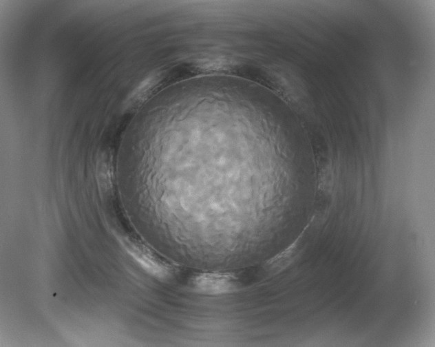 X0000081590179200701151319