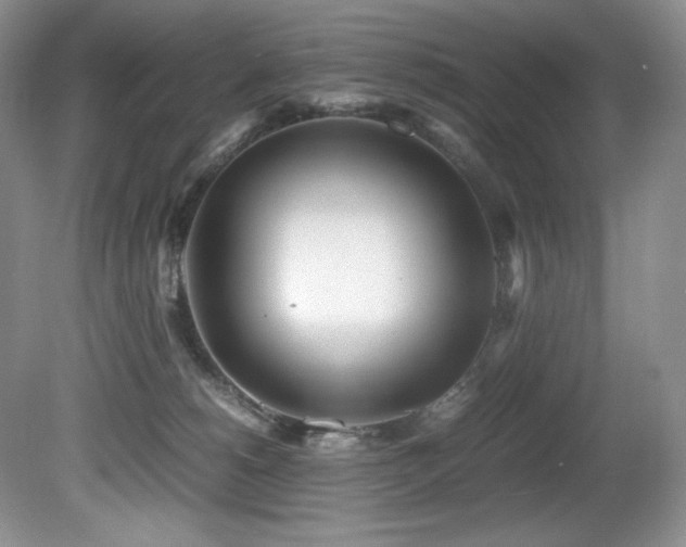 X0000081590180200701151319