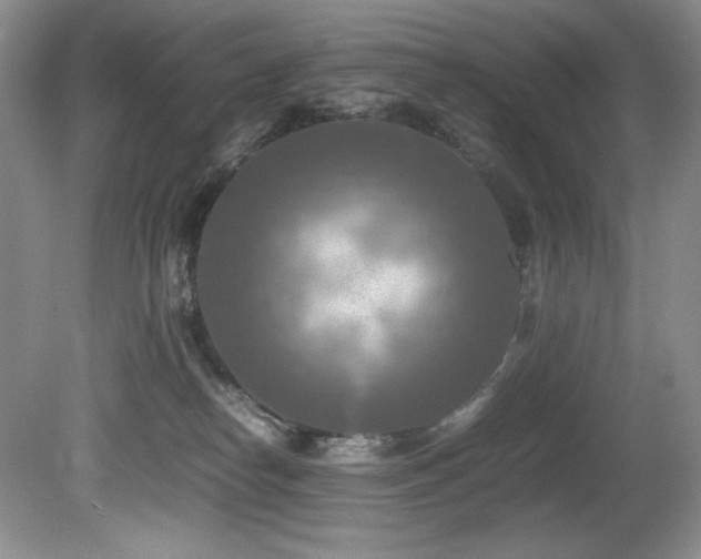 X0000081590182200701151319