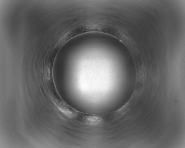 X0000081590183200701151319