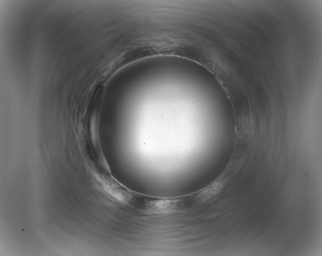 X0000081590184200701151319