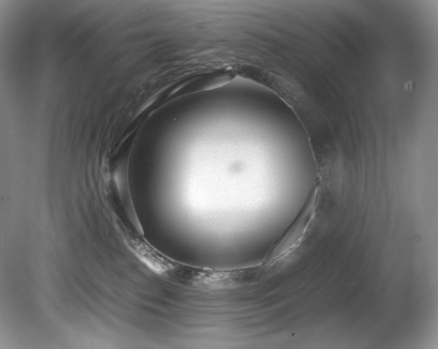 X0000081590186200701151319
