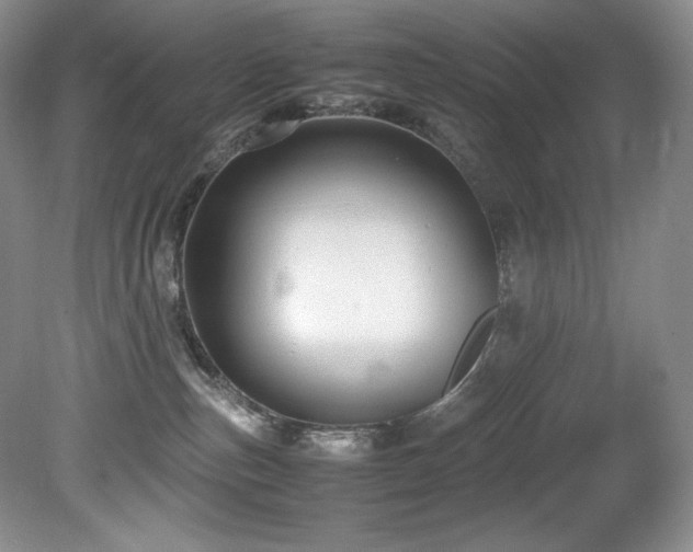 X0000081590187200701151319