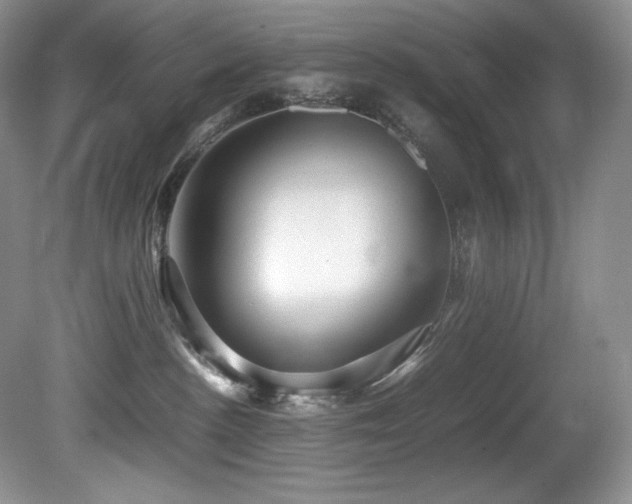 X0000081590188200701151319