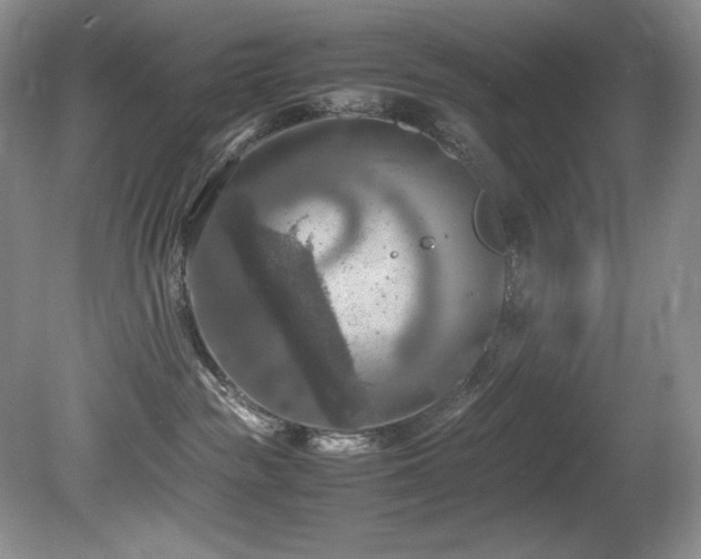 X0000081590189200701151319