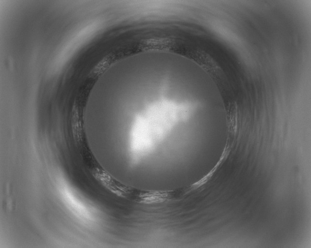 X0000081590191200701151319