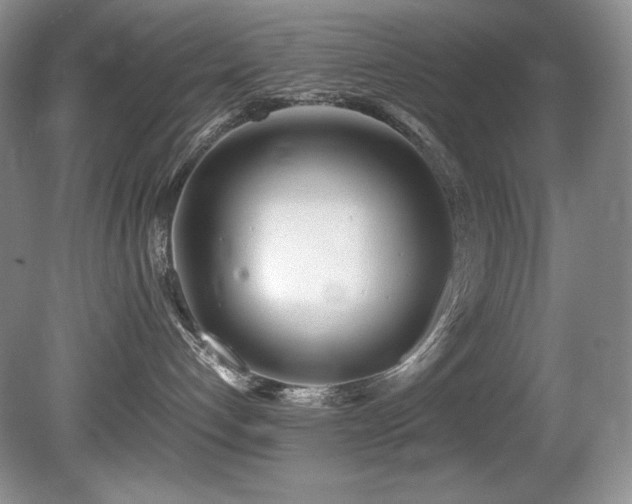 X0000081590192200701151319