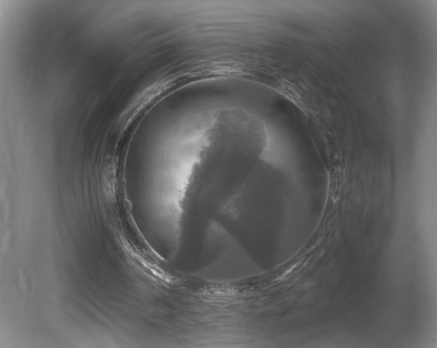 X0000081590194200701151318