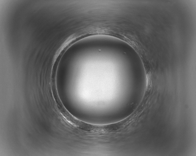 X0000081590195200701151318