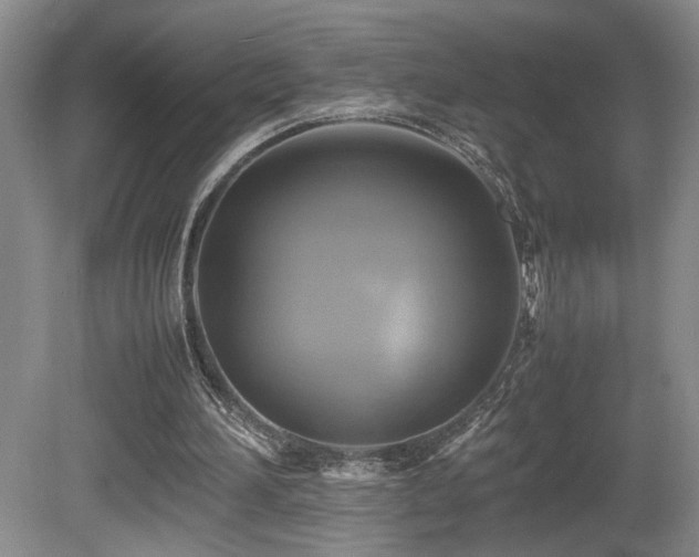 X0000081590196200701151318