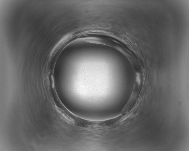 X0000081590197200701151318