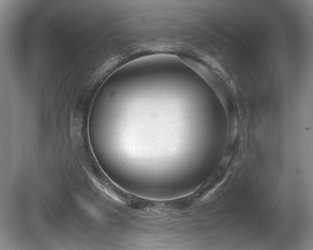 X0000081590201200701151318