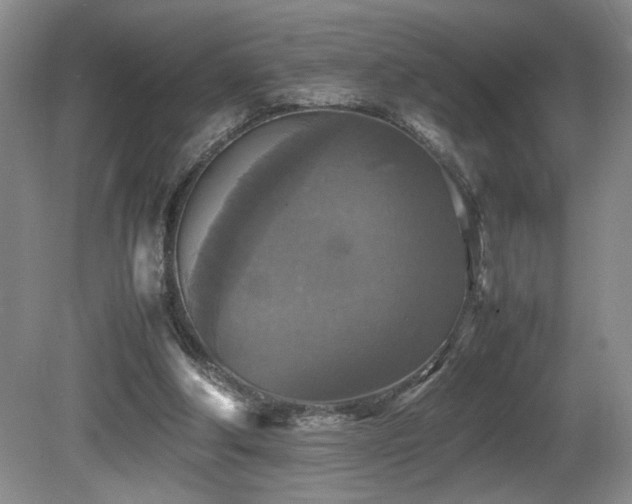 X0000081590202200701151318