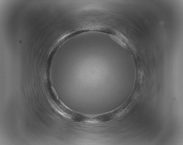 X0000081590203200701151318