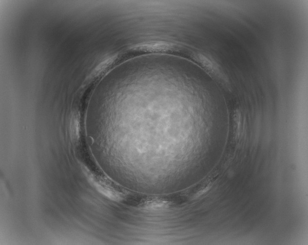 X0000081590206200701151318