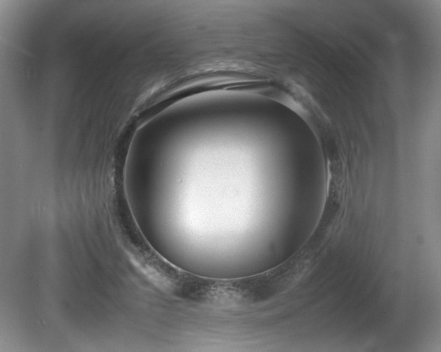 X0000081590207200701151318