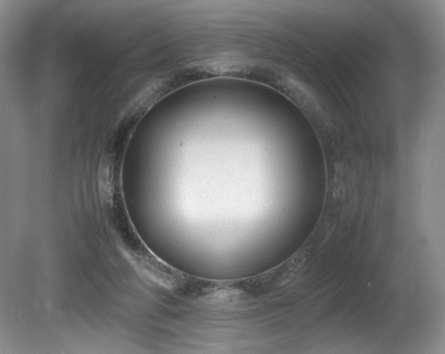 X0000081590210200701151318