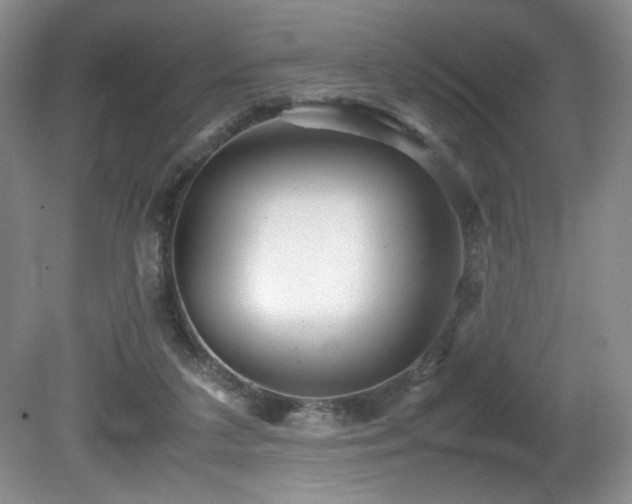 X0000081590211200701151318