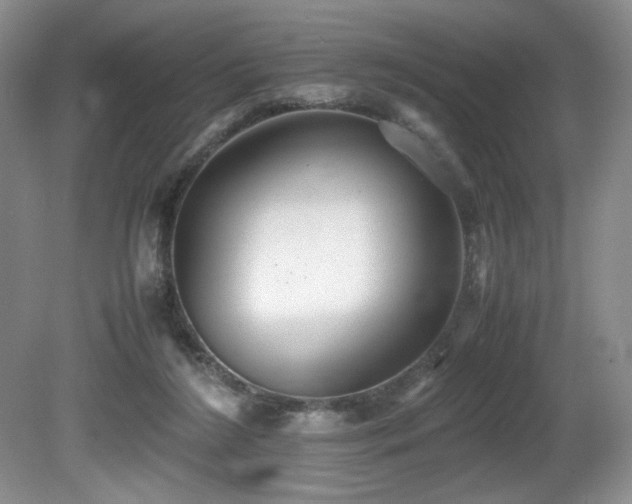 X0000081590212200701151318