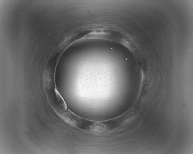 X0000081590215200701151318