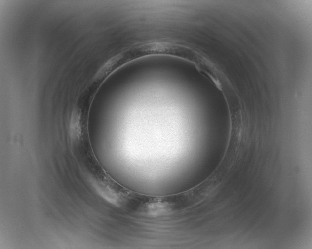 X0000081590216200701151318
