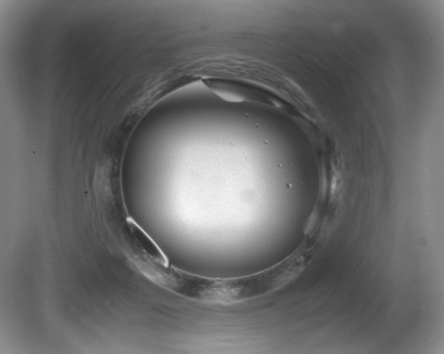 X0000081590217200701151318