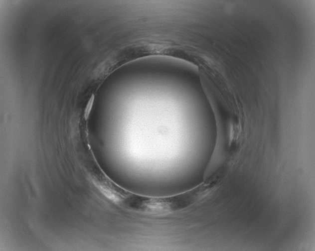 X0000081590221200701151317