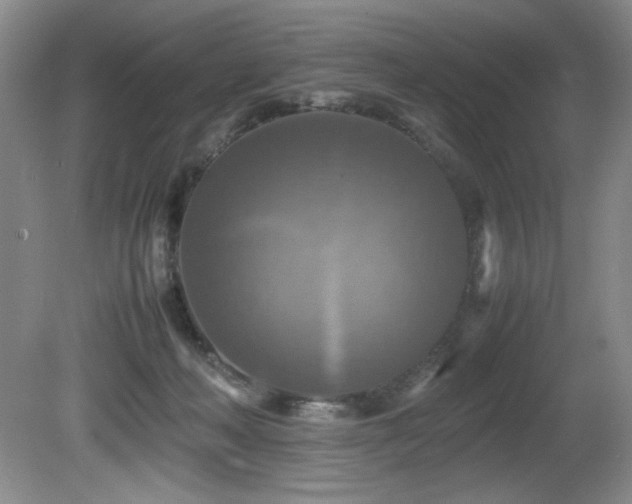 X0000081590222200701151317