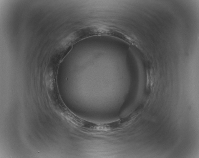 X0000081590223200701151317