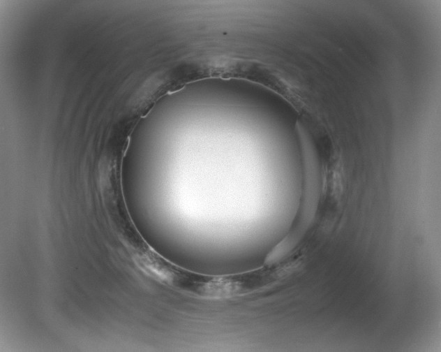 X0000081590225200701151317