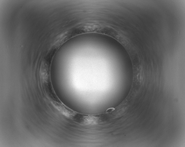 X0000081590226200701151317