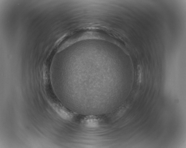 X0000081590228200701151317