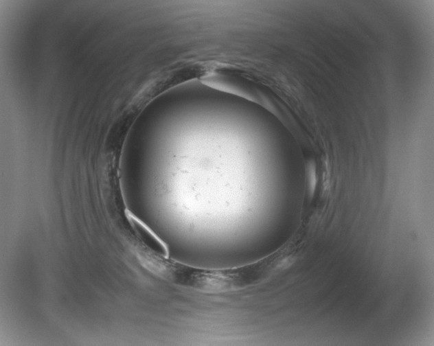 X0000081590229200701151317