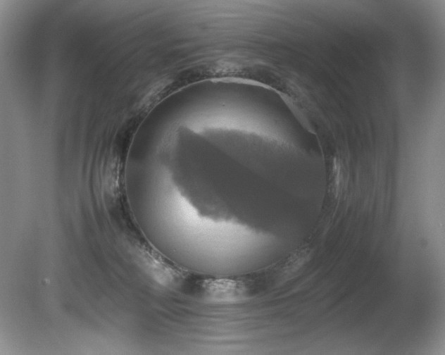 X0000081590230200701151317