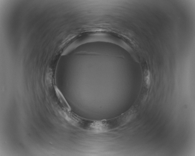 X0000081590231200701151317