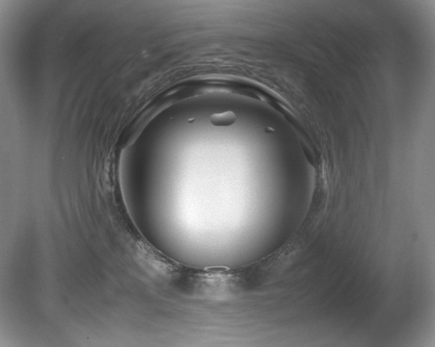 X0000081590233200701151317