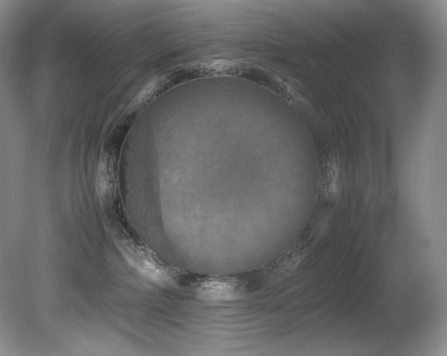 X0000081590236200701151317