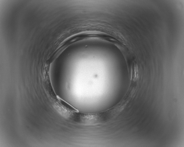 X0000081590237200701151317