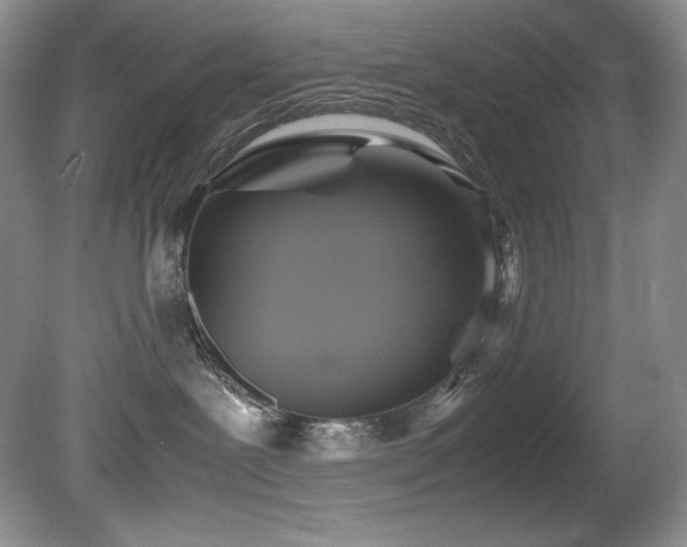 X0000081590239200701151317