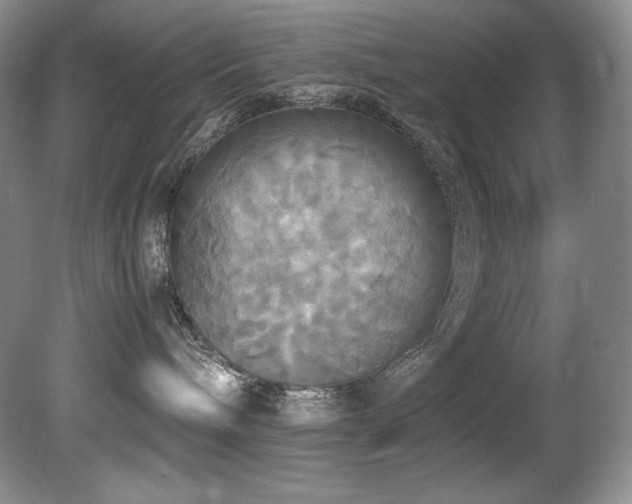 X0000081590240200701151317